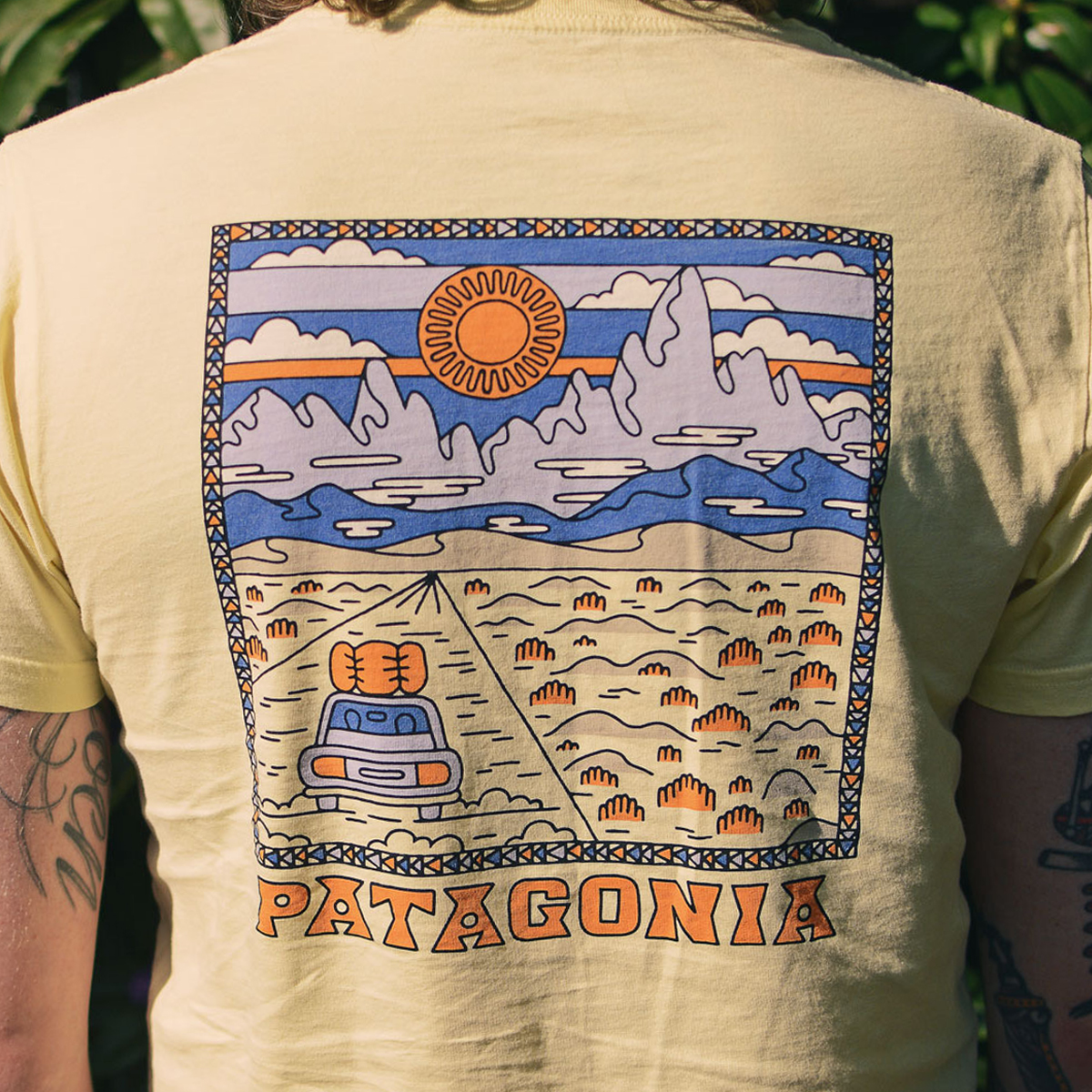 Patagonia shirt graphics