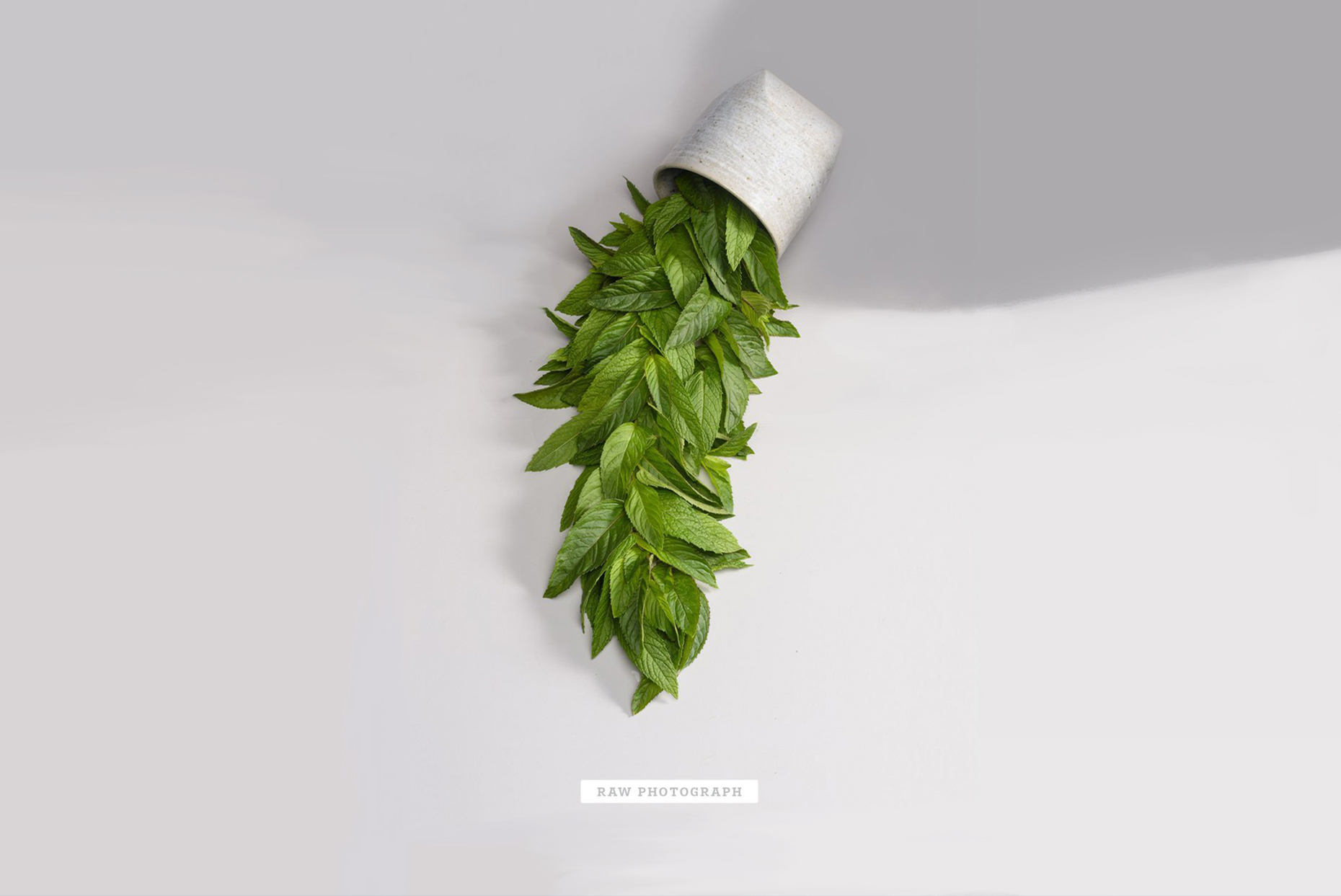 stash tea the stack photo