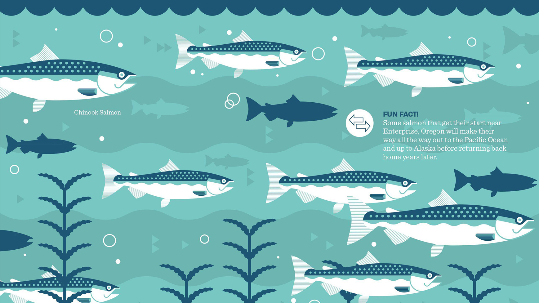 Water TNC field guide