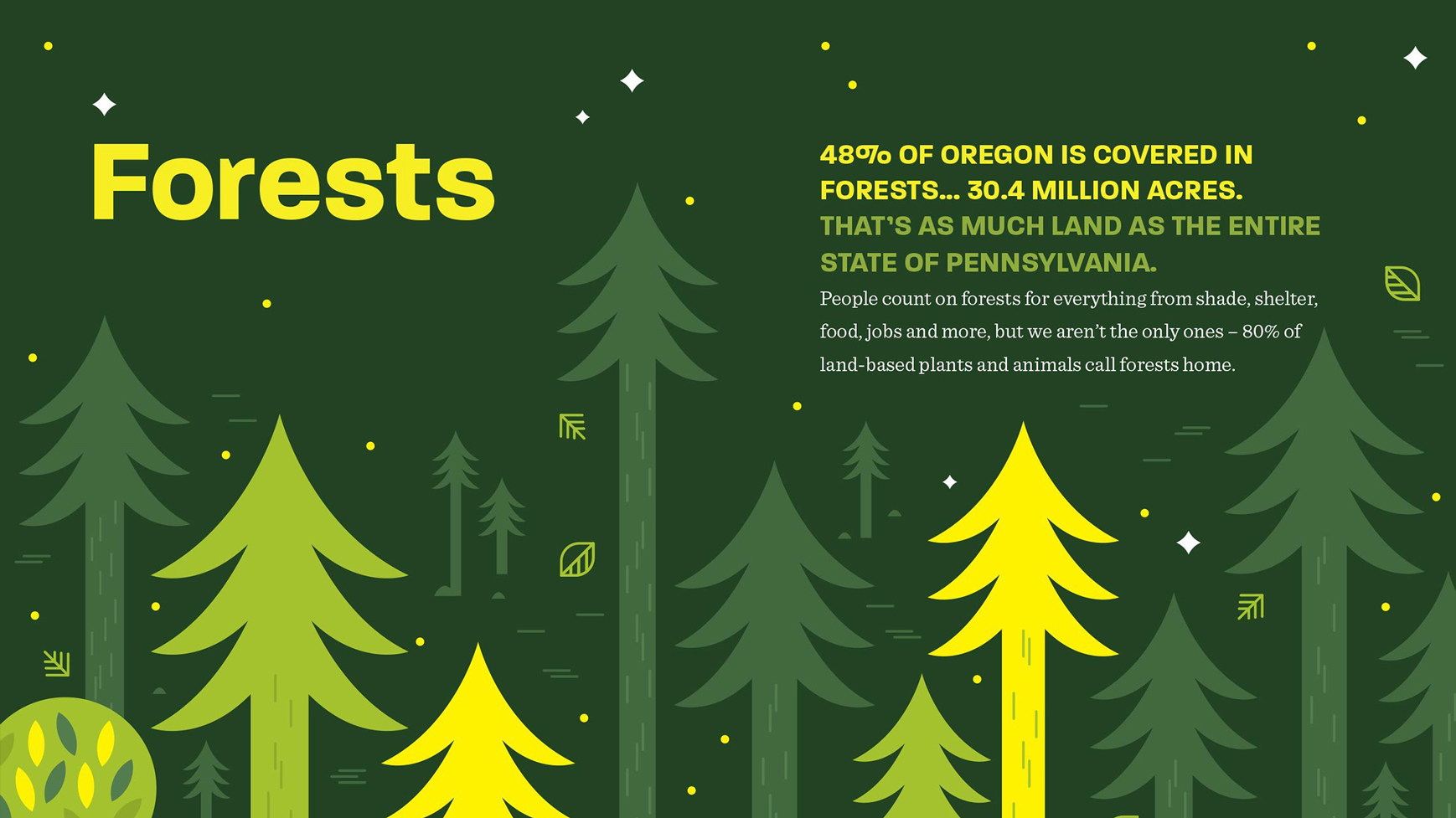 Forests TNC field guide