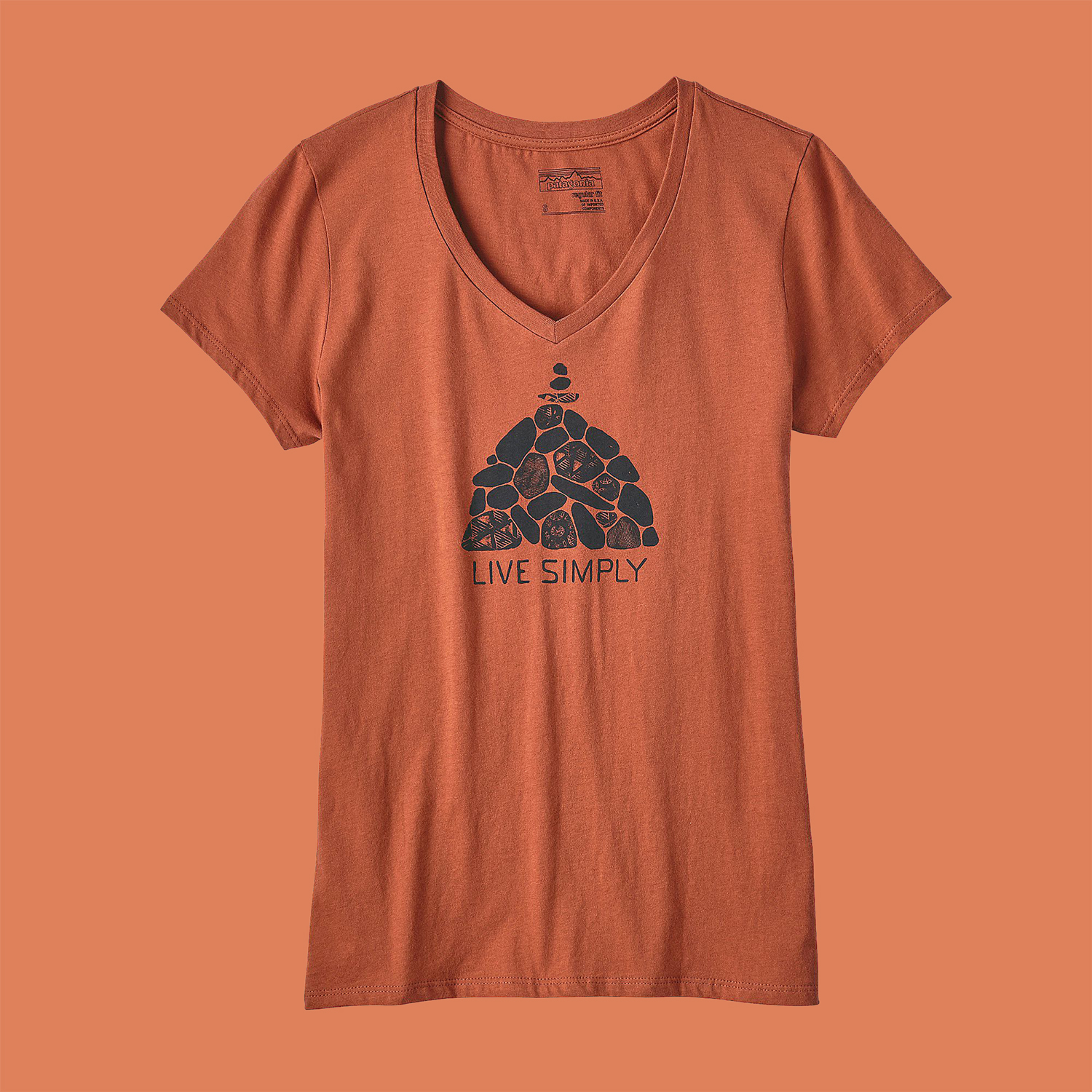 patagonia merch tee graphic