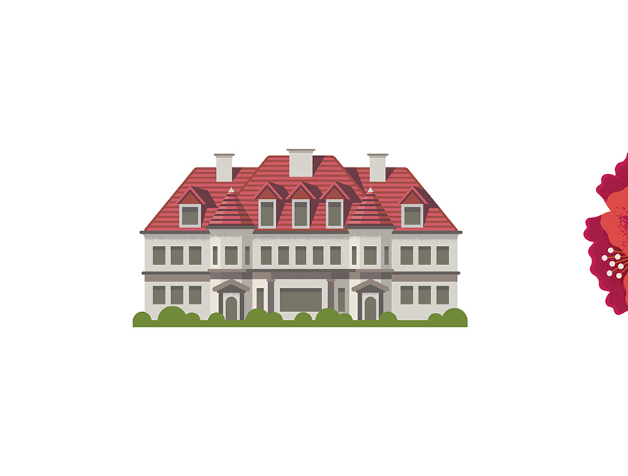 Timbers illustrations carousel