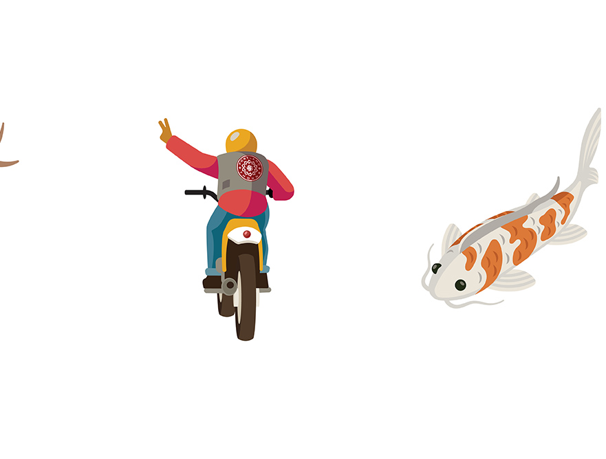 Timbers illustrations carousel