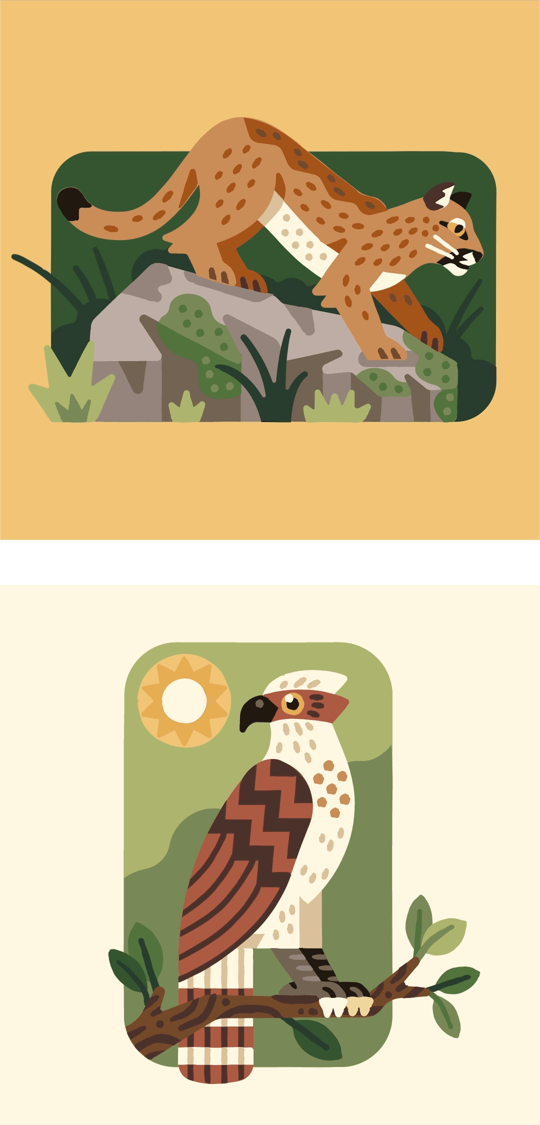 Oregon Parks and Rec Department mountain lion and bird of prey animation