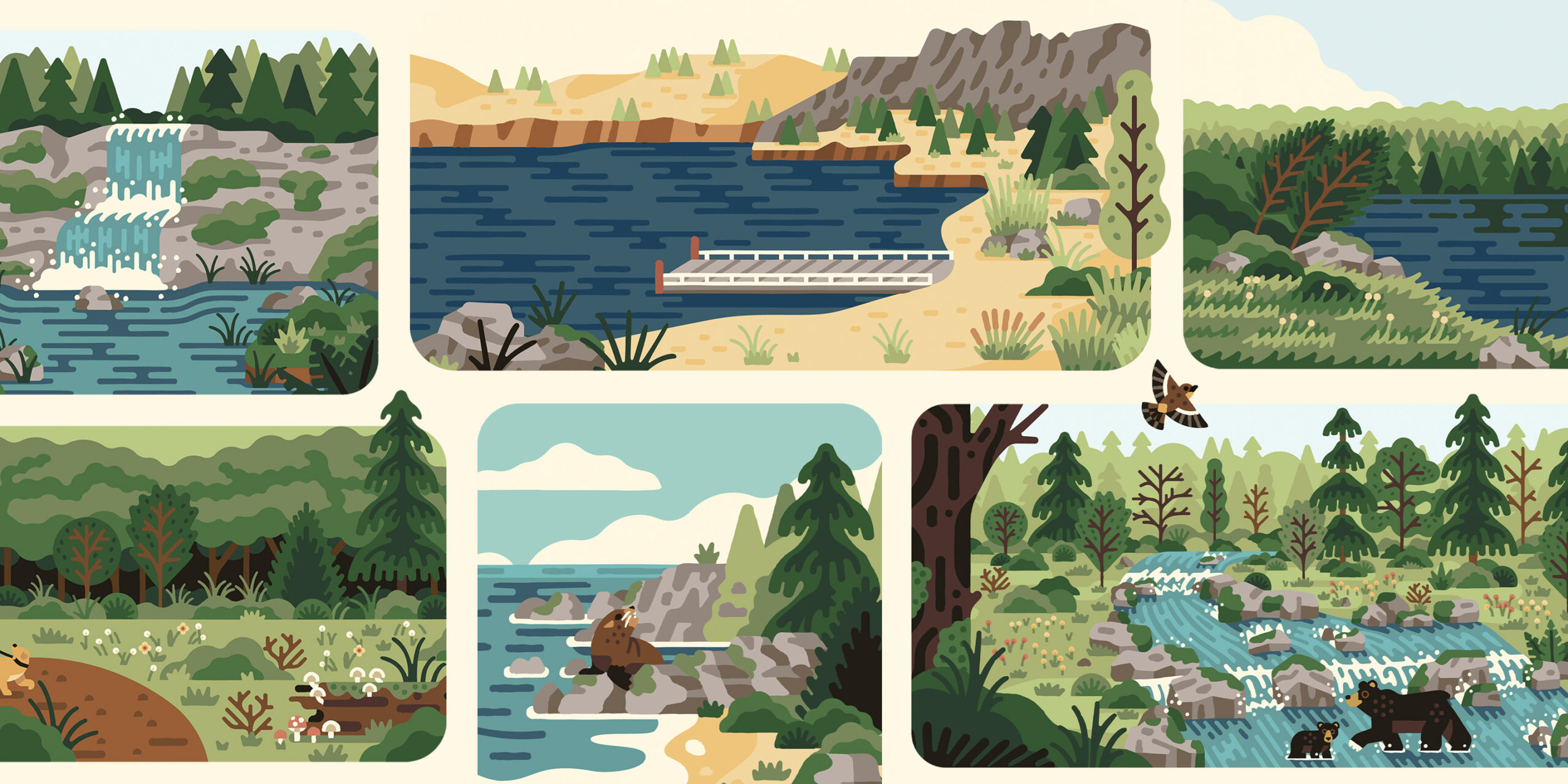 Oregon Parks and Rec Department plant and scenery illustration collage