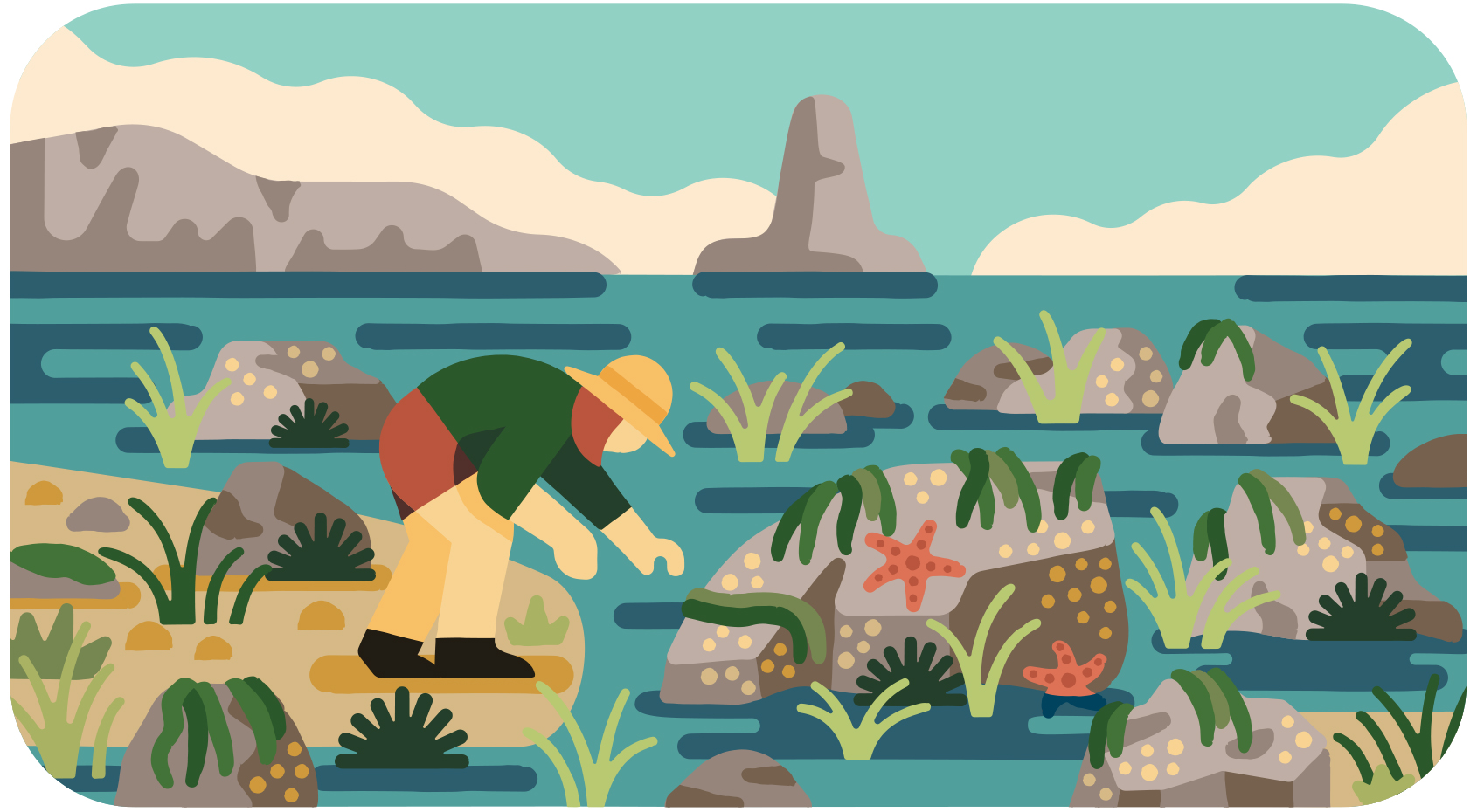 OPRD tidepool scene illustration